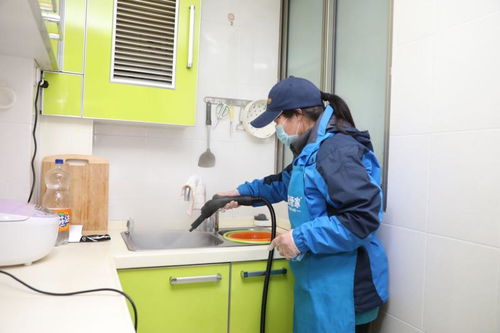 上海家政業復工潮 住家保姆緊俏，鐘點工競爭激烈，專業保潔待發掘